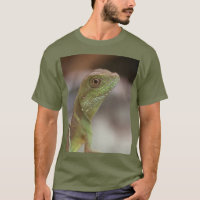 beijo de Iguana