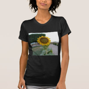 Camiseta Bela Atordoadora Girassol