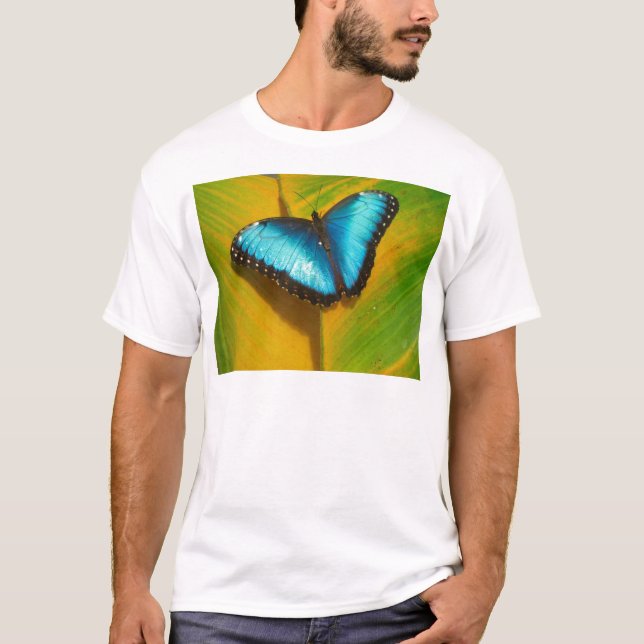 Camiseta Bela Borboleta Iridescente (Frente)