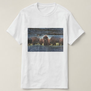 Camiseta Bela Búfalo Herd