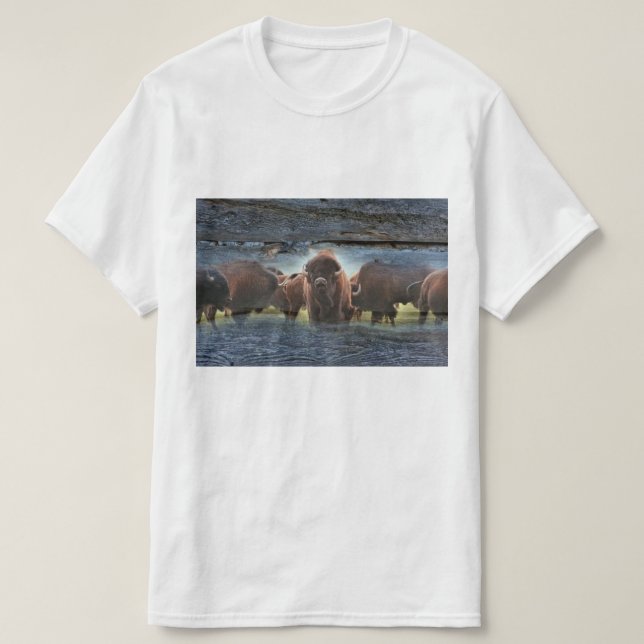 Camiseta Bela Búfalo Herd (Frente do Design)