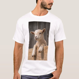 Camiseta Bela tela de fotografia de cabra bebê rústica de c