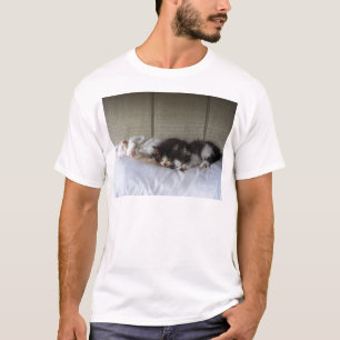 Camiseta Belas Adormecidas