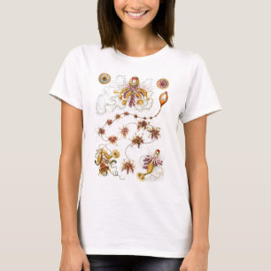Camiseta Belas artes de Siphonophorae Ernst Haeckel