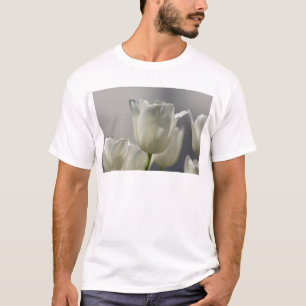 Camiseta Belas Tulipas Brancas de Primavera