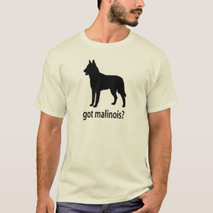 Camiseta Belga obtido Malinois
