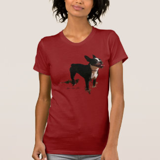 Camiseta Bella a Boston Terrier - t-shirt