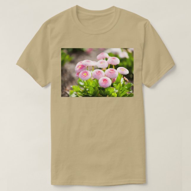 Camiseta Bellis perennis pomponette (Frente do Design)