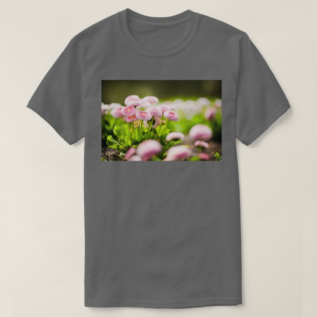 Camiseta Bellis perennis pomponette 1 (Frente do Design)