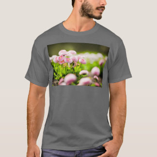 Camiseta Bellis perennis pomponette 1