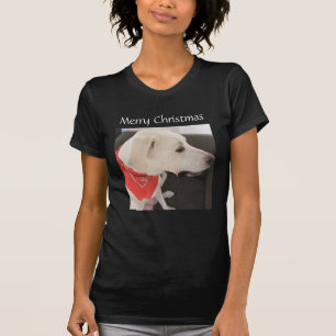 Camiseta Belo Cachorro Branco Vestindo Scarf Natal