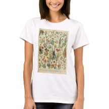 Belo Millot Fleur Illistration Impressão