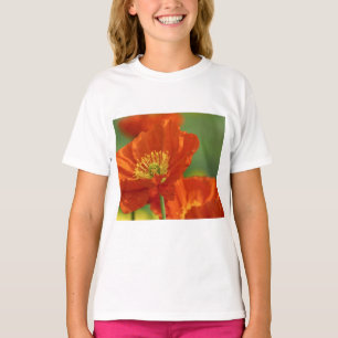 Camiseta Belo Papo Vermelho