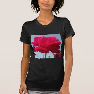 Camiseta Belo Rosa Celestial Vermelho Belo Contra Azul