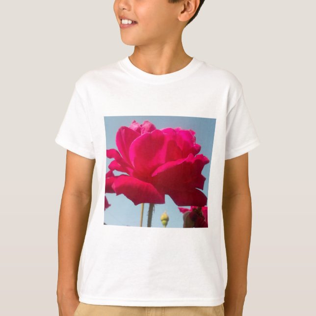 Camiseta Belo Rosa Celestial Vermelho Belo Contra Azul (Frente)