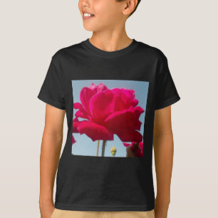 Camiseta Belo Rosa Celestial Vermelho Belo Contra Azul