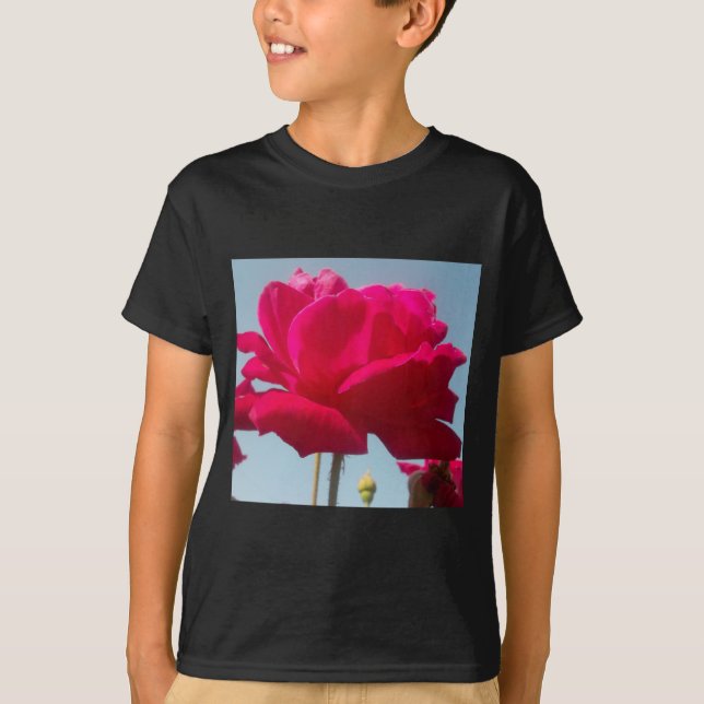 Camiseta Belo Rosa Celestial Vermelho Belo Contra Azul (Frente)