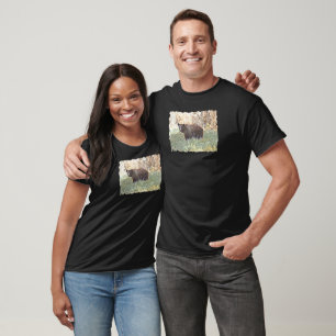 Camiseta Belo Urso Negro