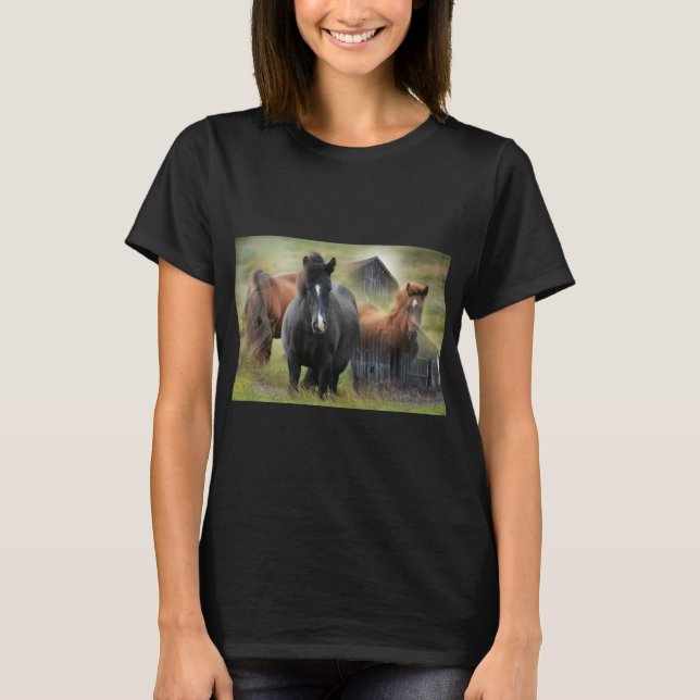Camiseta Belos Cavalos e Barão Russo (Frente)