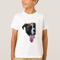 Benelli o cão do pugilista