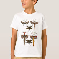 Bengalas, Katydids e libélulas