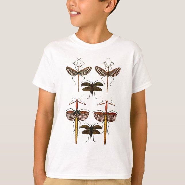 Camiseta Bengalas, Katydids e libélulas (Frente)