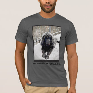 Camiseta Bentley Grey