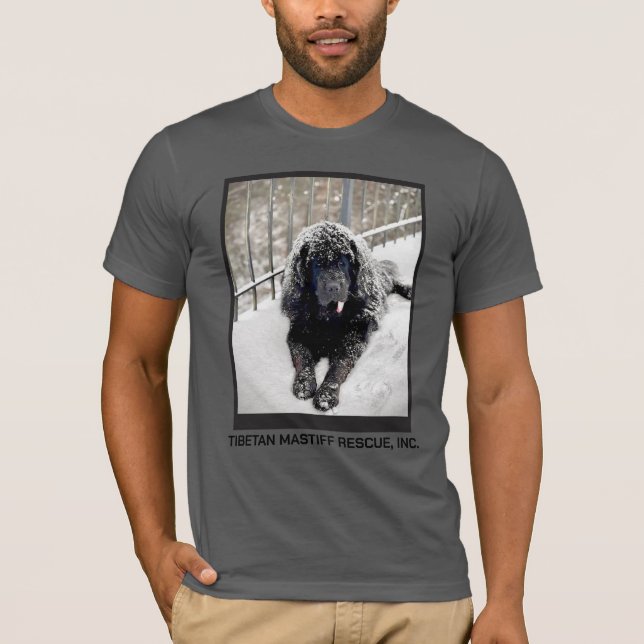 Camiseta Bentley Grey T shirt (Frente)
