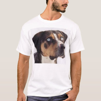 Camiseta Berço Catahoulas dos gatos