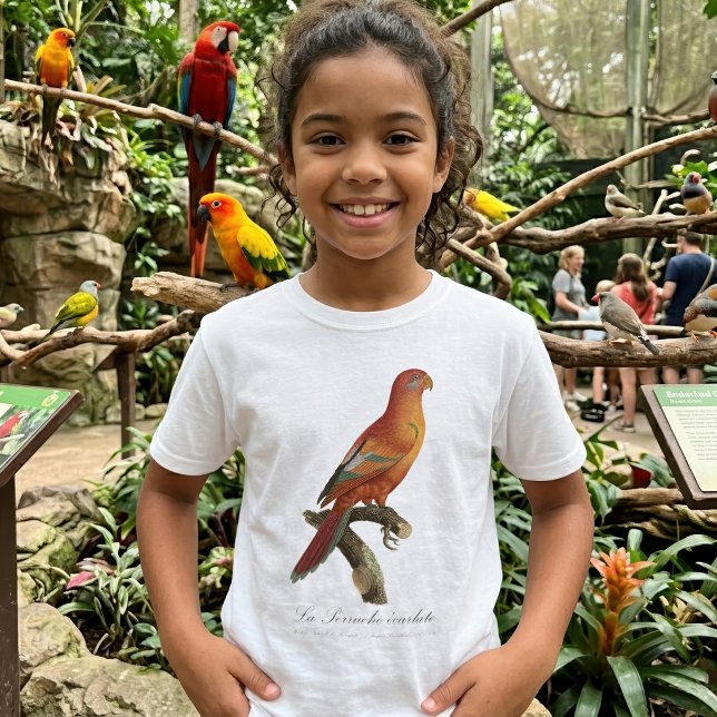Camiseta Berlato de Perruche (Red Lory or Eos Bornea, Trichoglossus borneus. Girl Basic White T-Shirt)
