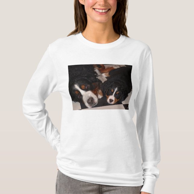 Camiseta Bernese Mountain Dogs Cabeça em T_Shirt (Frente)