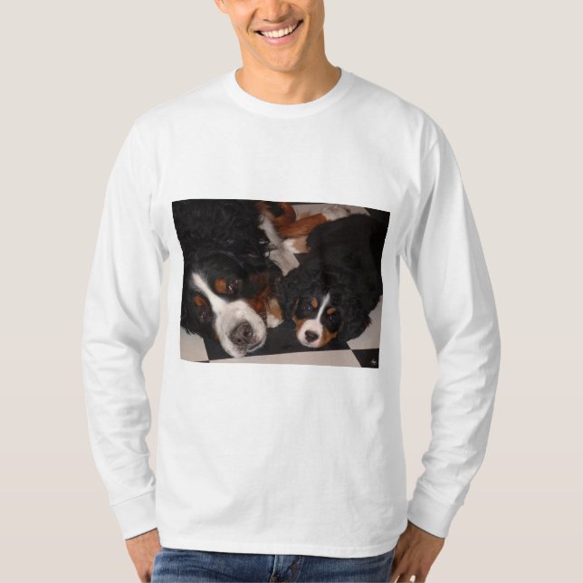 Camiseta Bernese Mountain Dogs Cabeça em T_Shirt dos Homens (Frente)