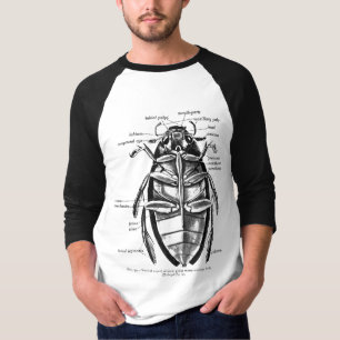 Camiseta Besouro do limpador de Hydrophilidae da