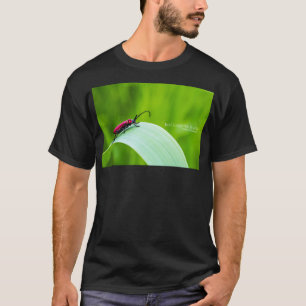 Camiseta Besouro Longicórnio Vermelho e fundo verde