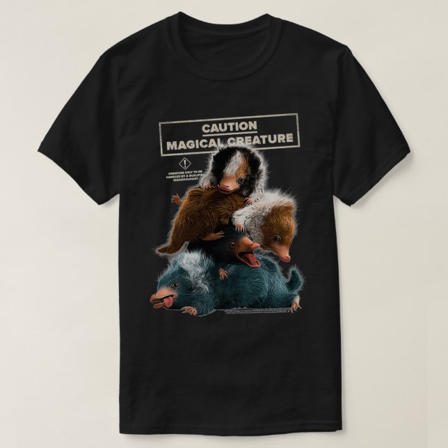 Camiseta Bestas Fantásticas Os Crimes Da Boca Grindelwald (Frente do Design)