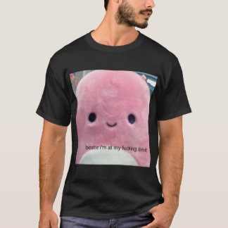 Camiseta BESTIE, ESTOU NO MEU LIMIT STICKER .png
