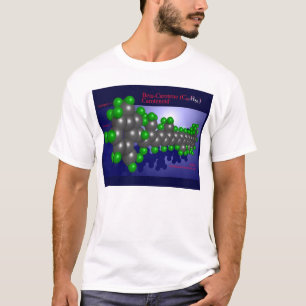 Camiseta Beta-carotina (parte dianteira)