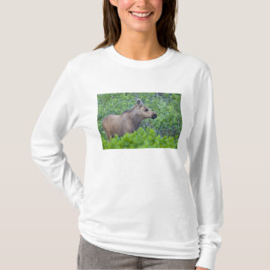 Camiseta Bezerro de alce no vale de Many Glacier