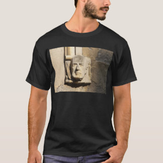 Camiseta Biblioteca Bodleian Oxford