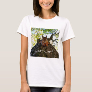 Camiseta Bichos Engraçados De Esquilo Olá Lá De Oi