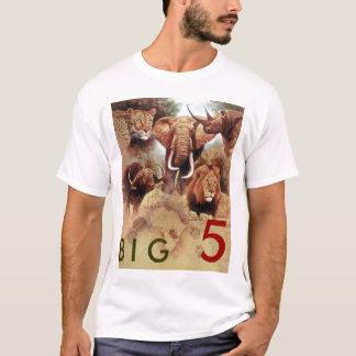 CAMISETA BIG 5