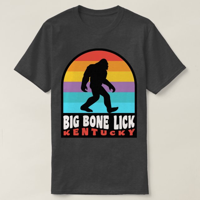Camiseta Big Bone Lick State Park Kentucky Bison (Frente do Design)
