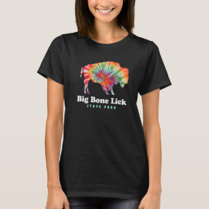 Camiseta Big Bone Lick State Park Kentucky Bison Tie Dye
