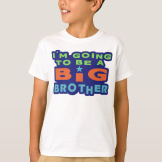 Camiseta Big Brother