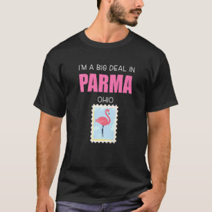 Camiseta Big Deal Sarcastic Pink Flamingo Parma Ohio Souven