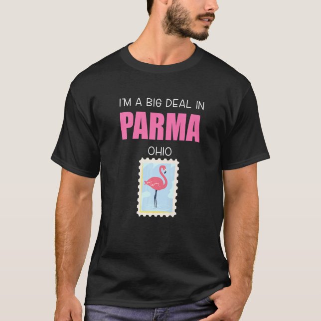 Camiseta Big Deal Sarcastic Pink Flamingo Parma Ohio Souven (Frente)