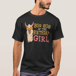 Camiseta Big Sis Da Festa De Aniversário Da Garota Lama Cel