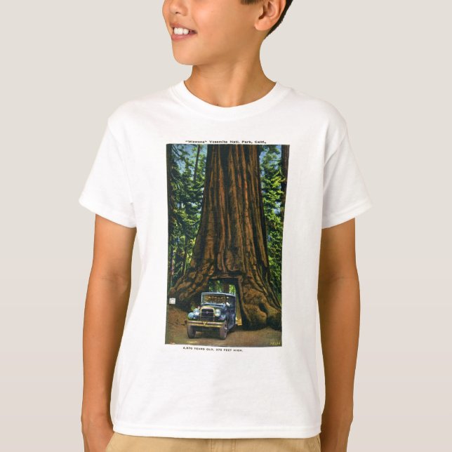 Camiseta Big Tree Wawona, Mariposa Grove, CA (Frente)