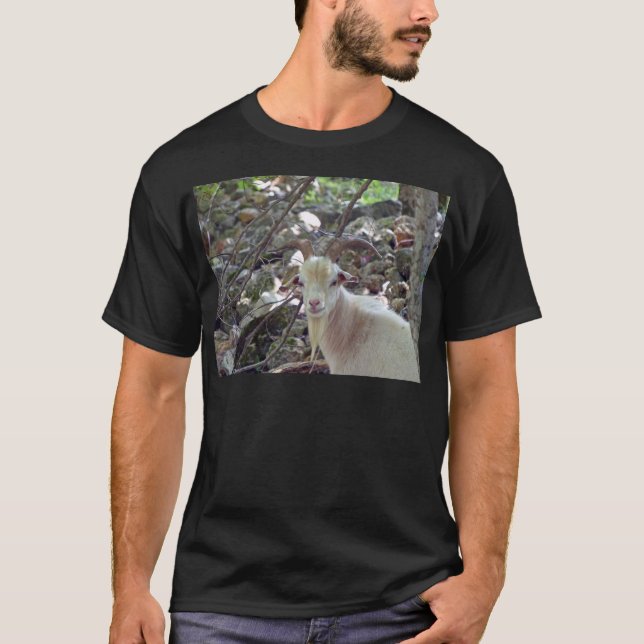 Camiseta Billy Goat (Frente)