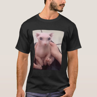Camiseta Bingus Cachorro Meu Querido Gato De Esfinge Sem Ca